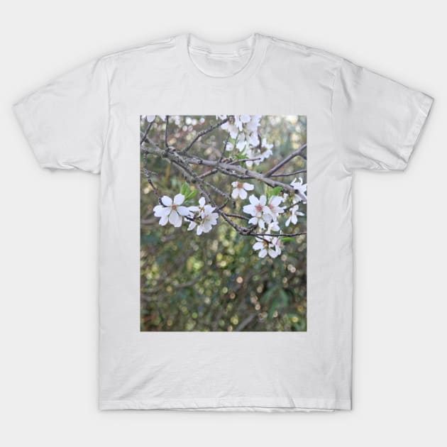 Almond tree branches and flowers T-Shirt by oknoki